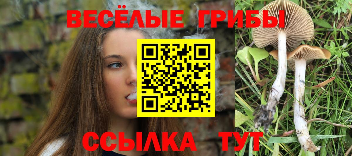 Галлюциногенные грибы MAGIC MUSHROOMS Ковров